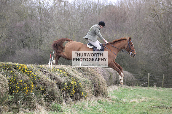 Hurworth Hunt Hedge Hop 046