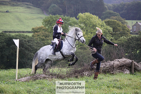 Hurworth Bilsdale Hedge Hop 012
