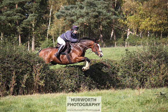 Hurworth Bilsdale Hedge Hop 218
