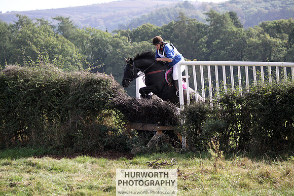 Hurworth Bilsdale Hedge Hop 505