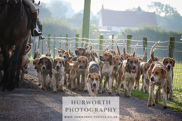 Hurworth Hunt 8