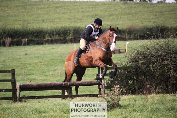 Hurworth Bilsdale Hedge Hop 163