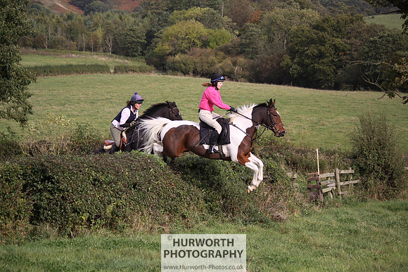 Hurworth Bilsdale Hedge Hop 671