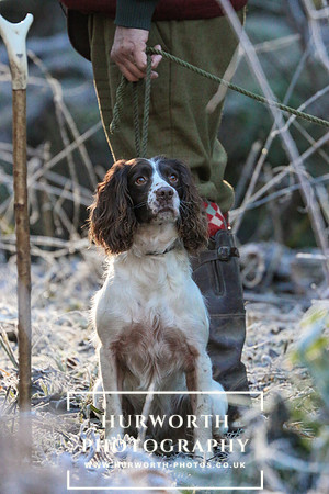 Studley Royal Ladies Shoot 050