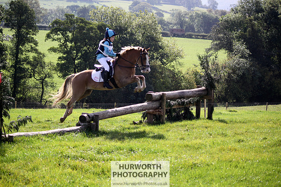 Hurworth Bilsdale Hedge Hop 261