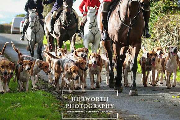 Hurworth Hunt  40