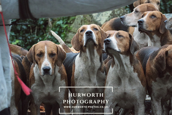 Hurworth Hunt 54