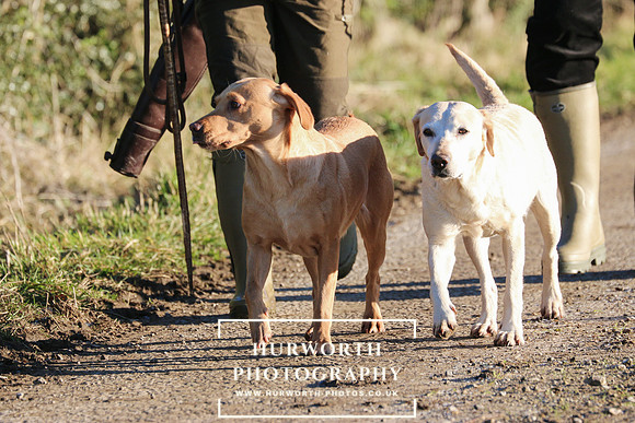 Studley Royal Ladies Shoot 040