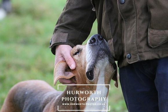 Hurworth Hunt  109