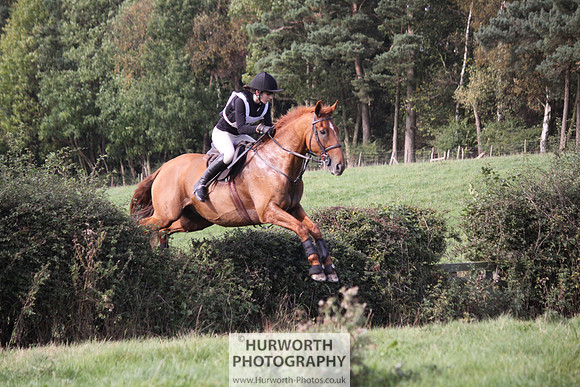 Hurworth Bilsdale Hedge Hop 596
