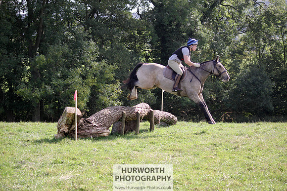 Hurworth Bilsdale Hedge Hop 381