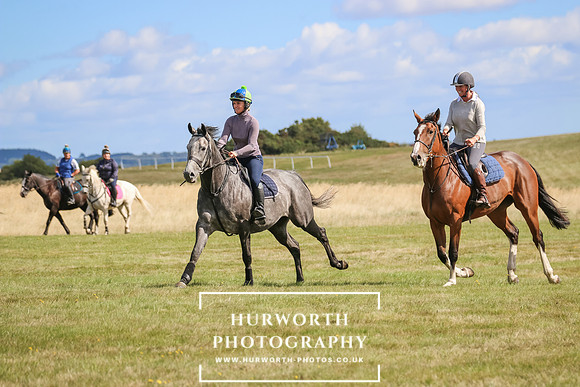 Hurworth Pleasure Ride 241