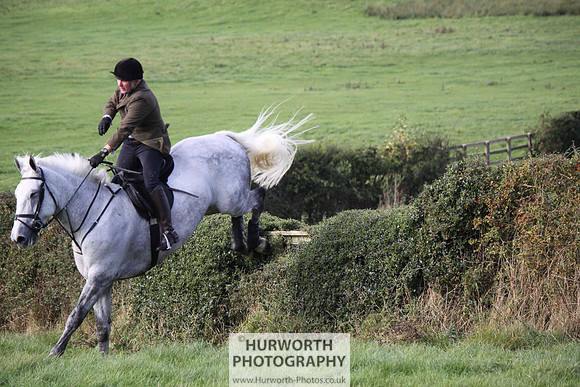 Hurworth Bilsdale Hedge Hop 612