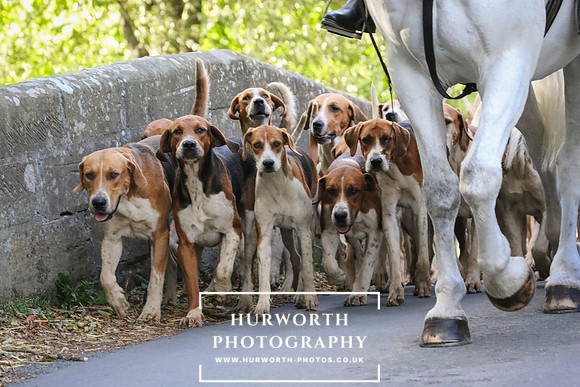 Hurworth Hunt 37