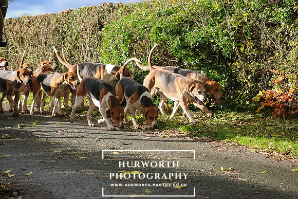 Hurworth Hunt  42