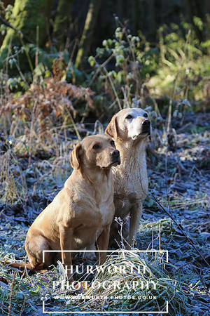 Studley Royal Ladies Shoot 091
