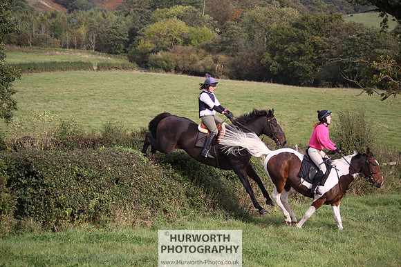 Hurworth Bilsdale Hedge Hop 673
