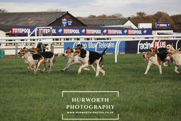 Countryside Raceday 160