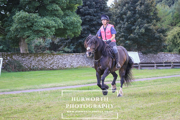Hurworth Pleasure Ride 101