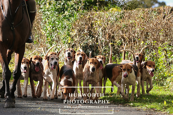 Hurworth Hunt  36