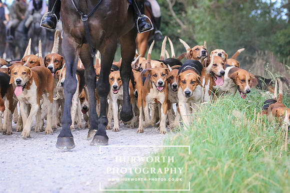 Hurworth Hunt 149
