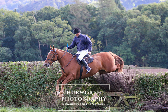 Hurworth Hunt 009