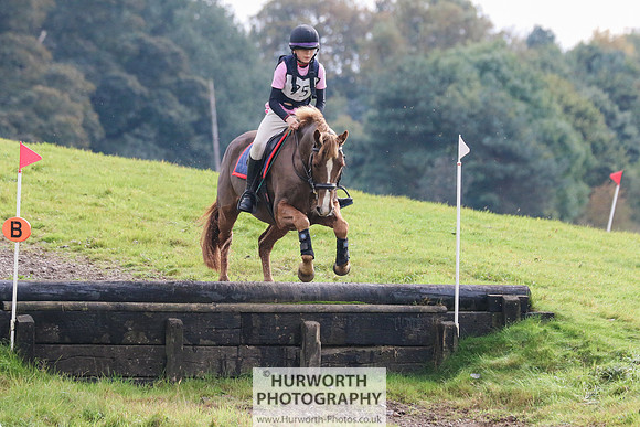 Hurworth Hunter Trial 330
