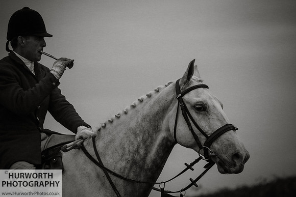 Hurworth Hunt 239