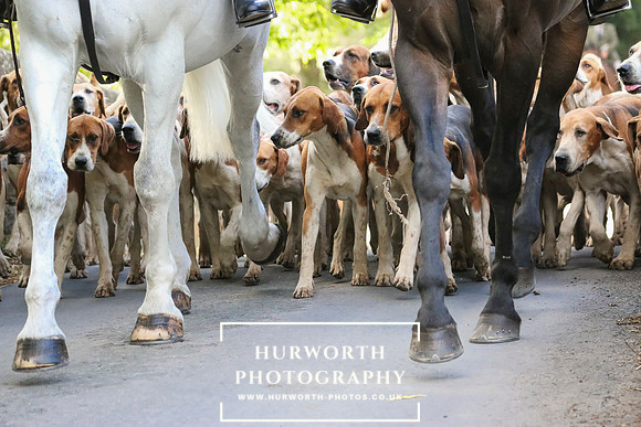 Hurworth Hunt 38