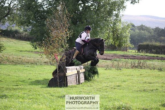 Hurworth Bilsdale Hedge Hop 066