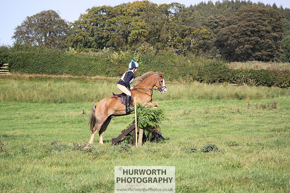 Hurworth Bilsdale Hedge Hop 343