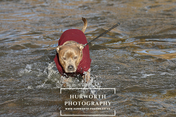 Hurworth Hunt 132