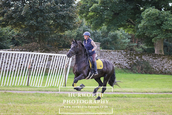 Hurworth Pleasure Ride 299