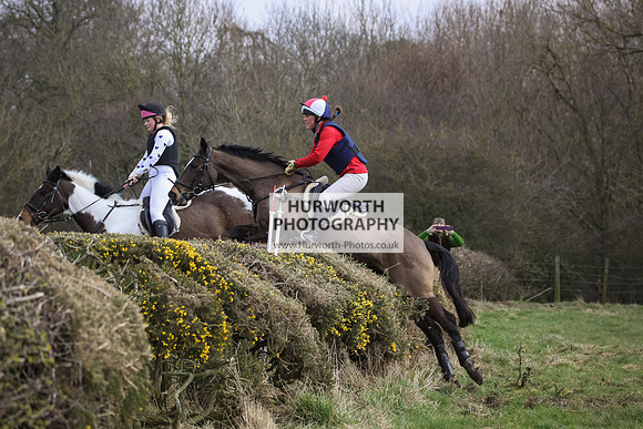 Hurworth Hunt Hedge Hop 095