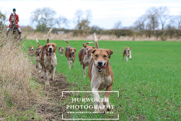 Hurworth Hunt 608