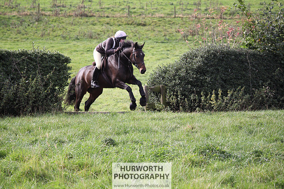 Hurworth Bilsdale Hedge Hop 117