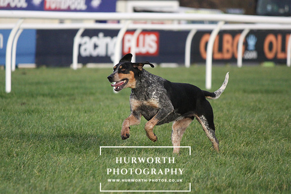Countryside Raceday 162