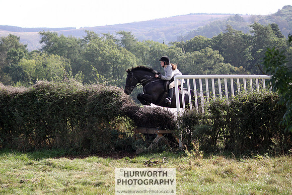 Hurworth Bilsdale Hedge Hop 384