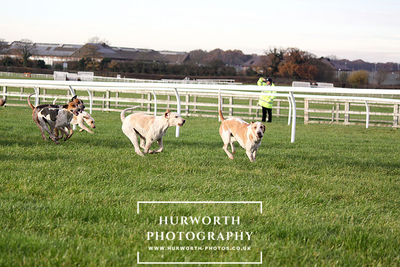 Countryside Raceday 134