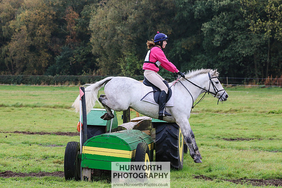 Hurworth Hunter Trial 310