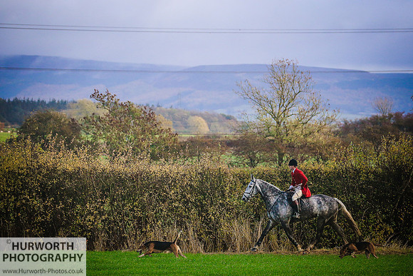 Hurworth Hunt 399