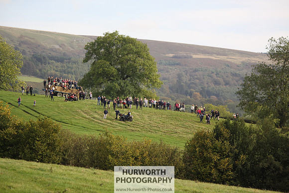 Hurworth Bilsdale Hedge Hop 772