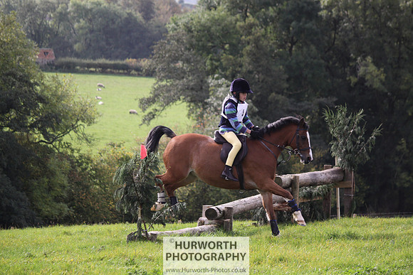 Hurworth Bilsdale Hedge Hop 046