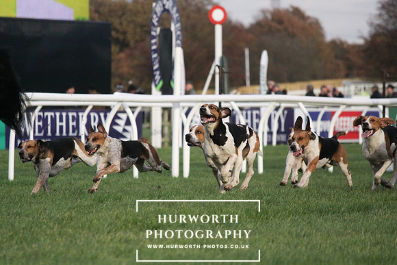 Countryside Raceday 156