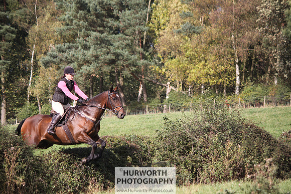 Hurworth Bilsdale Hedge Hop 217