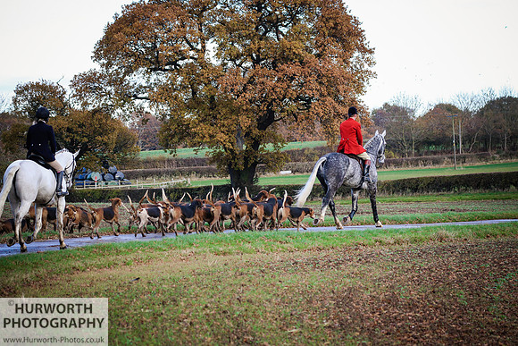 Hurworth Hunt 50