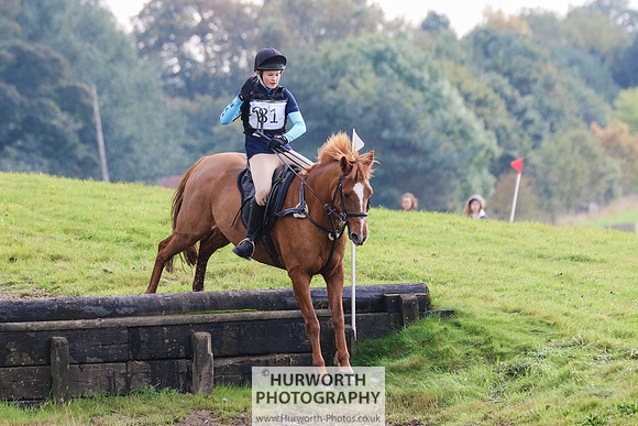 Hurworth Hunter Trial 371