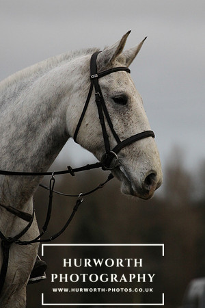Hurworth Hunt 262