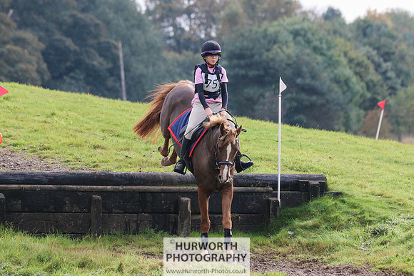 Hurworth Hunter Trial 332