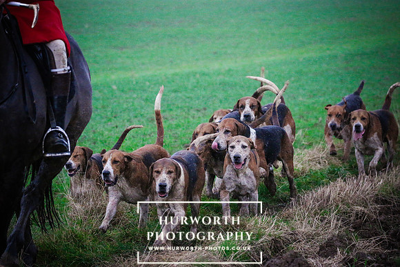 Hurworth Hunt  476
